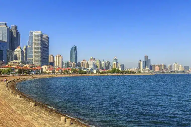 Comfortable tour transport bus in Sharjah providing reliable group travel for city sightseeing and guided tours.