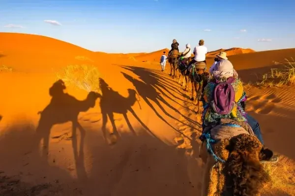 Guided Sharjah City Tours with Luxury Bus